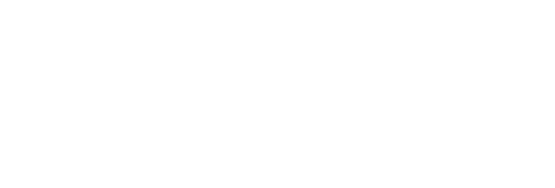 IMQ Medical Devices Academy